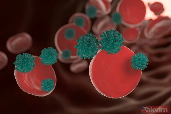 Bağışıklık Sistemini Resetliyor 2014 Yılında Güney Kaliforniya Üniversitesi'nde (Usc) Yapılan Araştırma, 72 Saatlik Açlığın Kök Hücre Temelli Beyaz Kan...