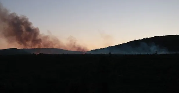 Son dakika: İstanbul Aydos ormanında yangın