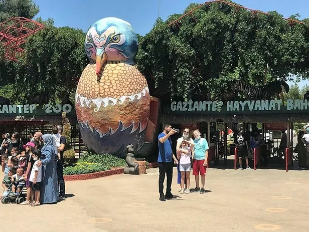 Hayvanat bahçesinde panik! Bakıcısını yaralayan aslan kaçtı-5