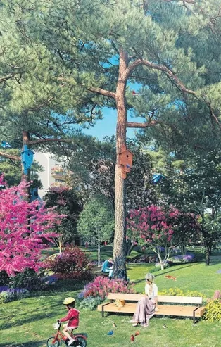 ‘Çekmeköy örnek bir proje olacak’