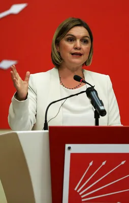Selin Sayek Böke CHP'deki görevinden istifa etti