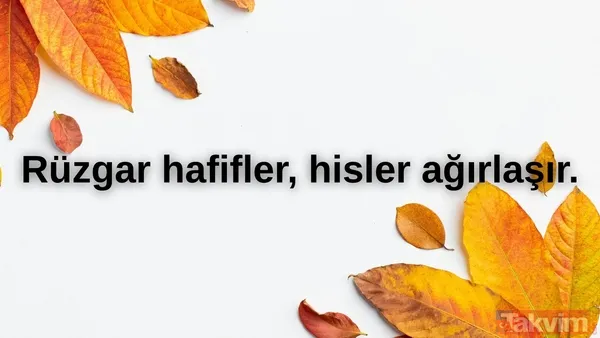 🔸Rüzgar Hafifler, Hisler Ağırlaşır.