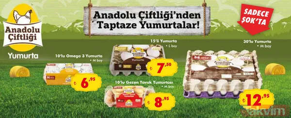 ŞOK aktüel ürünler kataloğu: 1-7 Mayıs ŞOK market indirimlerinde Ramazan sürprizi - 20