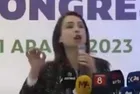 TSK PKK elebaşlarını avladıkça DEM deliriyor! CHP'li Özgür Özel'in iş birlikçisi Tülay Hatimoğulları: İHA/SİHA'lara yatırım yapmayın