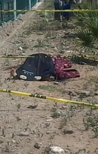 Aydın'da korkunç cinayet! Başını taşla ezdiler...