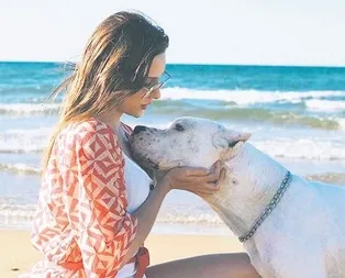 Moraller ’Boz’uldu