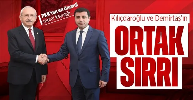 Kemal Kılıçdaroğlu ve Selahattin Demirtaş’ın ortak sırrı! PKK’nın adını...