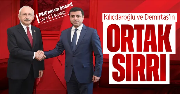 Kemal Kılıçdaroğlu ve Selahattin Demirtaş'ın ortak sırrı! PKK'nın adını...
