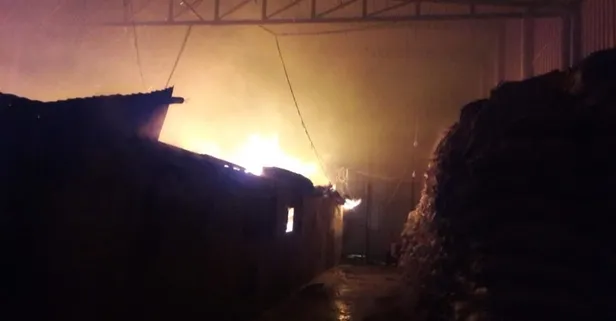 Mersin'de defne fabrikasında yangın!