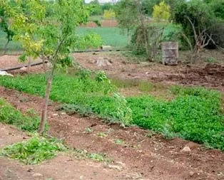 Sebze bahçesine roket düştü