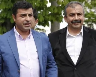 Son dakika: Demirtaş ve Sırrı Süreyya Önder’in cezası onandı!