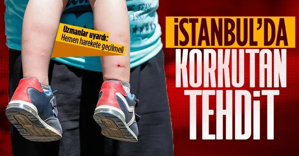 İstanbul’da korkutan tehdit! Uzmanlar uyardı: Hemen harekete geçilmeli