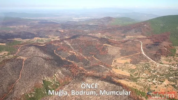 CHP ve yandaşı medyanın yangınlar üzerinden kirli algı oyunu çöktü: 'Otel yapacaklar' dedikleri alanlar tek tek yeşillendirildi - 25