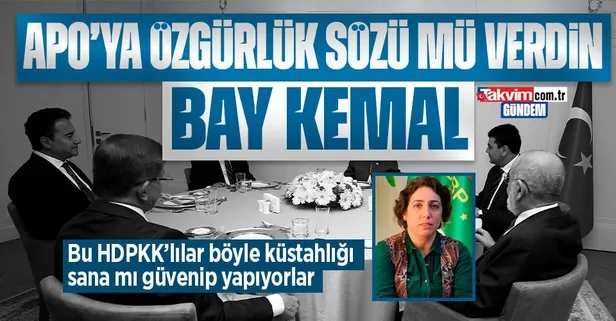 HDPKK'lı Salihe Aydeniz'den skandal sözler: 'Kürdistan' dedi Kılıçdaroğlu'na mesaj yolladı! Abdullah Öcalan'a özgürlük vaadi