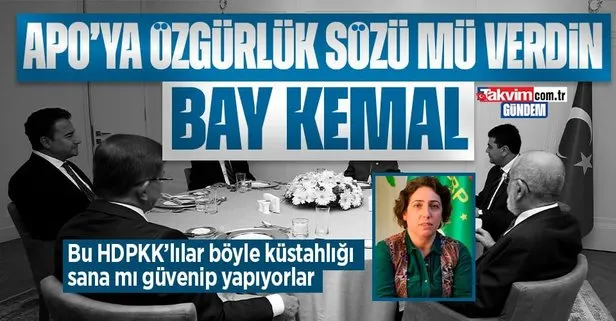 HDPKK’lı Salihe Aydeniz’den skandal sözler: ’Kürdistan’ dedi Kılıçdaroğlu’na mesaj yolladı!  Abdullah Öcalan’a özgürlük vaadi