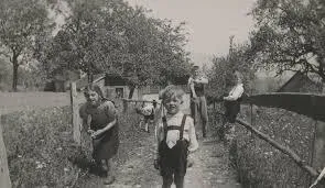 kim-milyoner-olmak-isterde-avrupanin-karanlik-yuzunu-ifsa-eden-soru-iste-1980lere-kadar-cocuklarin-acik-artirm-1642797108993.jpeg Kim Milyoner Olmak İster'de Avrupa'nın karanlık yüzünü ifşa eden soru! İşte 1980'lere kadar çocukların açık artırmada satıldığı ülke-5