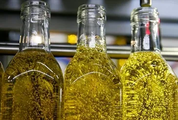 Sahte zeytinyağı bu testle ortaya çıkıyor! Evde 1-2 damla ile hemen anlayın