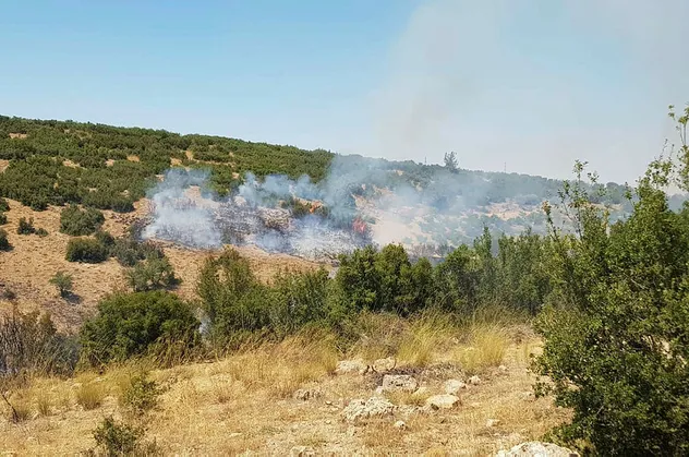 Denizli'de orman yangını! Havadan ve karadan müdahale