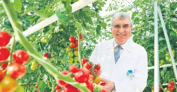 Turkuvaz Medya Merkezi’nde Türkiye Tarım Zirvesi! Sakarya Büyükşehir Belediye Başkanı Ekrem Yüce: 700 ton domates rekorunu kırdık