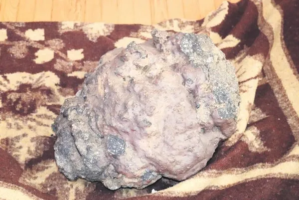 tarlasinda-gok-tasi-buldu-sandi-gercek-bambaska-cikti-1692659707491.jpeg Tarlasında gök taşı buldu sandı: Gerçek bambaşka çıktı!-2