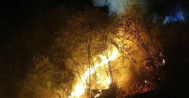 Trabzon Da 48 Saatte 35 Farkli Noktada Yangin Takvim