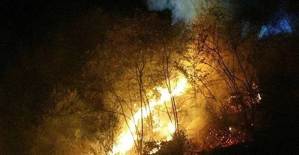 Trabzon’da 48 saatte 35 farklı noktada yangın!