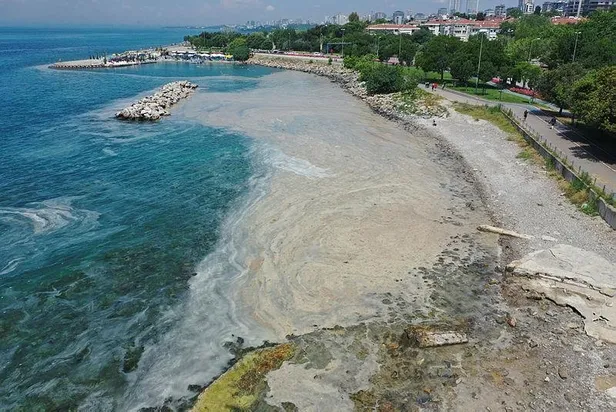 son-dakika-musilaj-sorunu-ile-ilgili-meclis-arastirmasi-komisyonu-kuruldu-1623341619566.jpeg Son dakika: Müsilaj sorunu ile ilgili Meclis Araştırması Komisyonu kuruldu-4