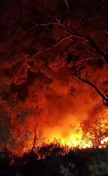 İzmir'de orman yangınına müdahale eden helikopter Tahtalı Barajı'na düştü! Aranan 3 kişiden acı haber geldi-4