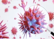 Son dakika: Corona virüsün yeni belirtileri ortaya çıktı!