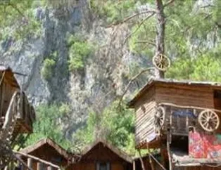 Olimpos Ağaç Evler