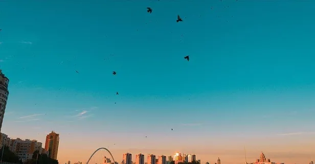 Kuş gribi görülmeyen ülke Kazakistan!