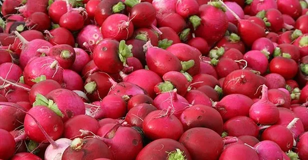 Turpun faydaları nelerdir? İyi geldiği hastalıklar nelerdir?