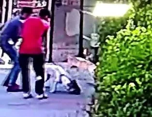 Küçükçekmece’de pitbull dehşeti