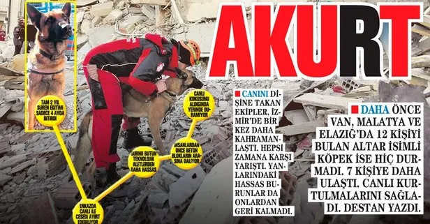 Arama-Kurtarma köpeği Altar İzmir’de bir kez daha kahramanlaştı