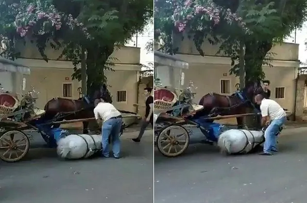 Büyükada'da faytona sürülen atın içler acısı hali