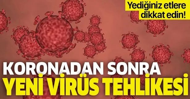 Yediğiniz etlere dikkat edin! Koronavirüsten sonra yeni virüs tehlikesi! Rota virüsü nedir belirtileri nelerdir?
