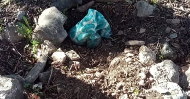 Bebek gömüldüğünden şüphelenilen mezardan köpek cesedi çıktı