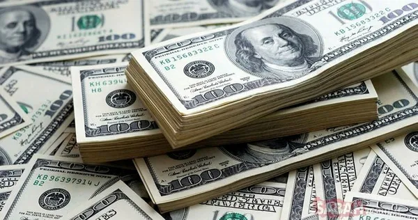 Ekonomideki yeni yol haritasını hazmedemeyenlerin döviz kuru oyunu!-15