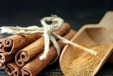 Tarçın, beyine iyi geliyor