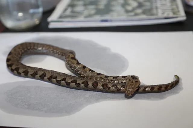 mersin-adana-hatay-sanliurfa-gaziantep-illerinde-yasayanlara-acil-alarm-verildi-kapiyi-pencereyi-simsiki-kapat-1714071513895.jpg Aman dikkat! İstila başladı! Kapıyı, pencereyi sımsıkı kapatın! Mersin, Adana, Hatay, Şanlıurfa, Gaziantep illerinde yaşayanlara acil alarm verildi!-2