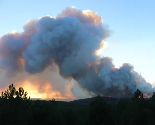Son dakika: Kütahyada orman yangını