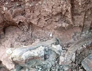 Çankırı’da bulundu! Tam tamına 9 milyon yıllık