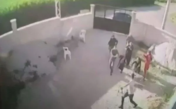 Konya’daki katliamla ile ilgili flaş gelişme: 2 kişi hakkında tutukluluk kararı-5