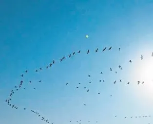UFO göçü