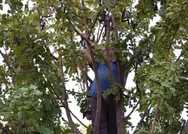 12 yıl sabırla beklemişti! Şimdi paraya para demiyor! Bu iş servet değerinde...