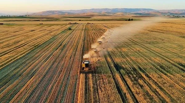 odemeler-bugun-hesaplarda-tarim-ve-orman-bakani-ibrahim-yumakli-duyurdu-ciftcilere-dev-destek-1696622894892.jpeg Ödemeler bugün hesaplarda! Tarım ve Orman Bakanı İbrahim Yumaklı duyurdu: Çiftçilere dev destek-6