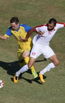 Altın madalya Türkiye'nin