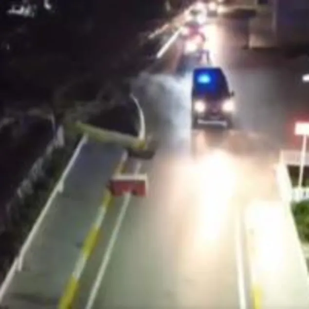 Sibergöz-30 operasyonu