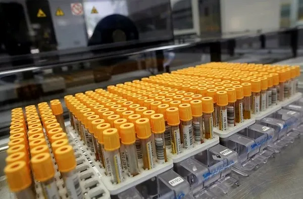 Koronavirüste yeni mutasyon genetik materyelinde bir hata oluşması üzerine gerçekleşiyor-6