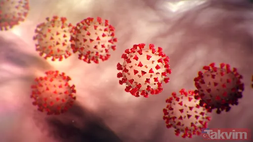 Açıklamada, vizonlarda rastlanan Covid-19 türünün klinik görünümü, ağırlığı ve bulaşıcılığının koronavirüsün diğer türleriyle benzerlik gösterdiği ancak daha...